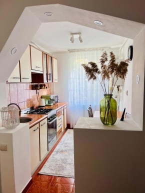Central Apartment